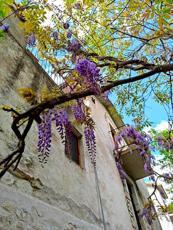 Pensjonat Ai Limiti • 67 • Stonehouse Palombaro Zewnętrze zdjęcie