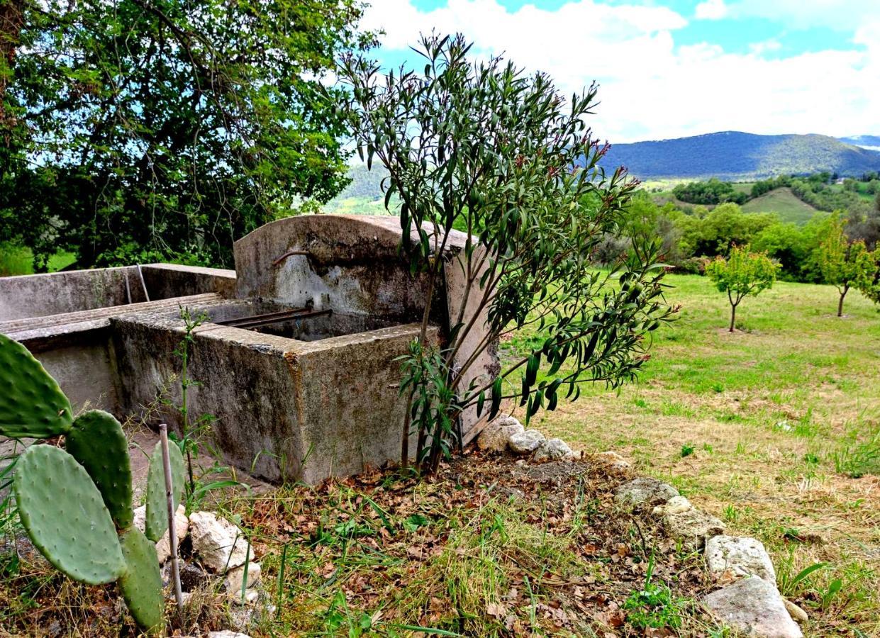 Pensjonat Ai Limiti • 67 • Stonehouse Palombaro Zewnętrze zdjęcie